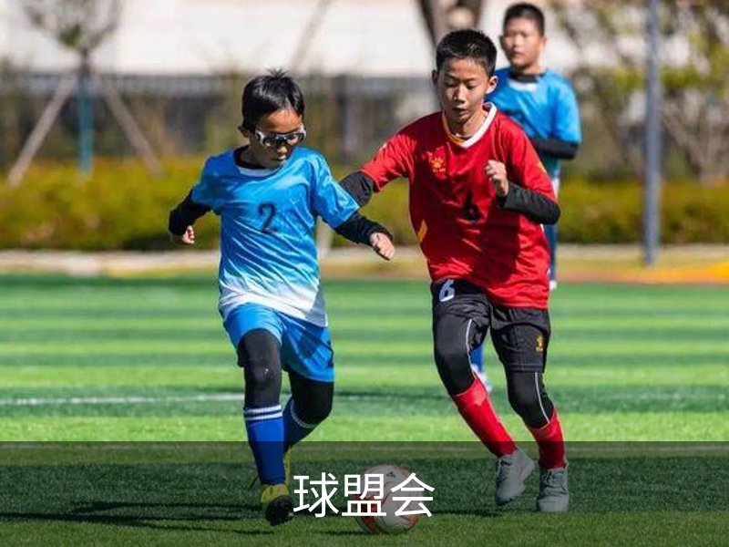 球盟会简介