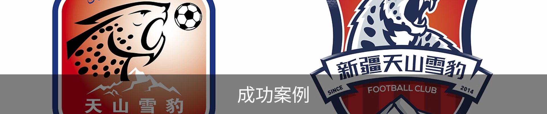 成功案例
