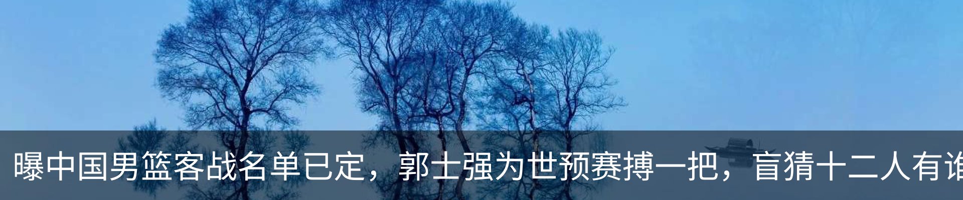 新闻动态