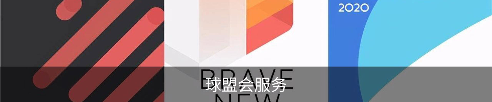 球盟会服务