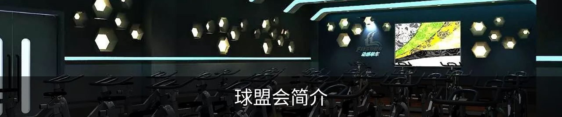 球盟会简介